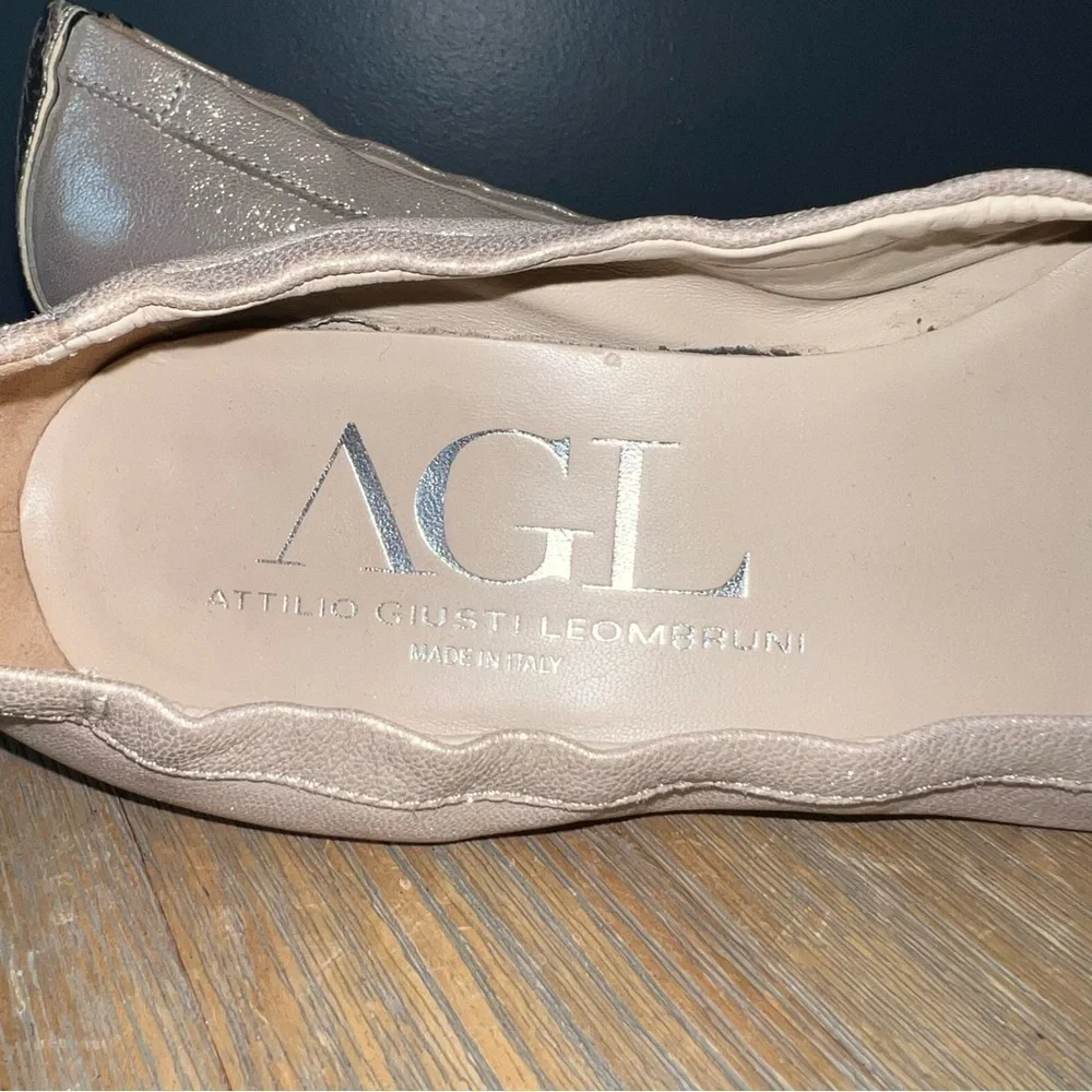 AGL Attilio Giusti Leombruni Wedge Pump